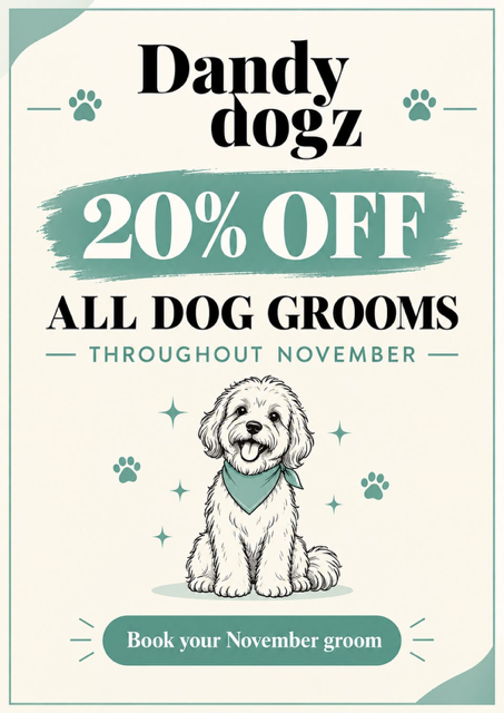 November2026-offer